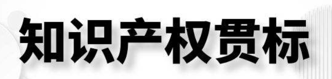 知識產(chǎn)權(quán)貫標認證機構(gòu) 知識產(chǎn)權(quán)貫標各地資助政策