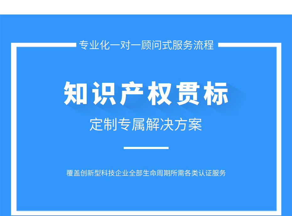 知識產(chǎn)權(quán)貫標_05 知識產(chǎn)權(quán)貫標_05