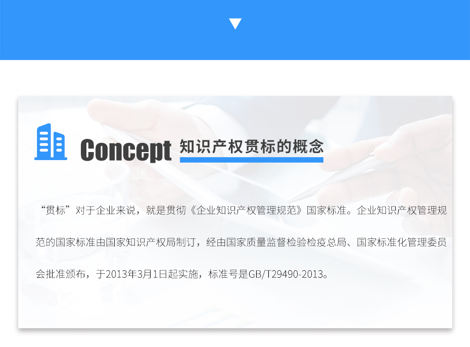 知識產(chǎn)權(quán)貫標_06 知識產(chǎn)權(quán)貫標_06