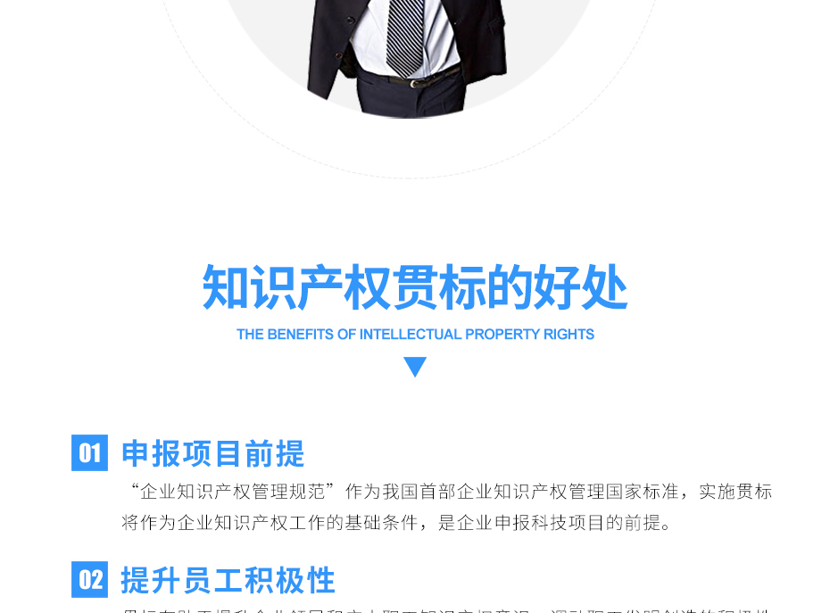 知識產(chǎn)權(quán)貫標_08 知識產(chǎn)權(quán)貫標_08